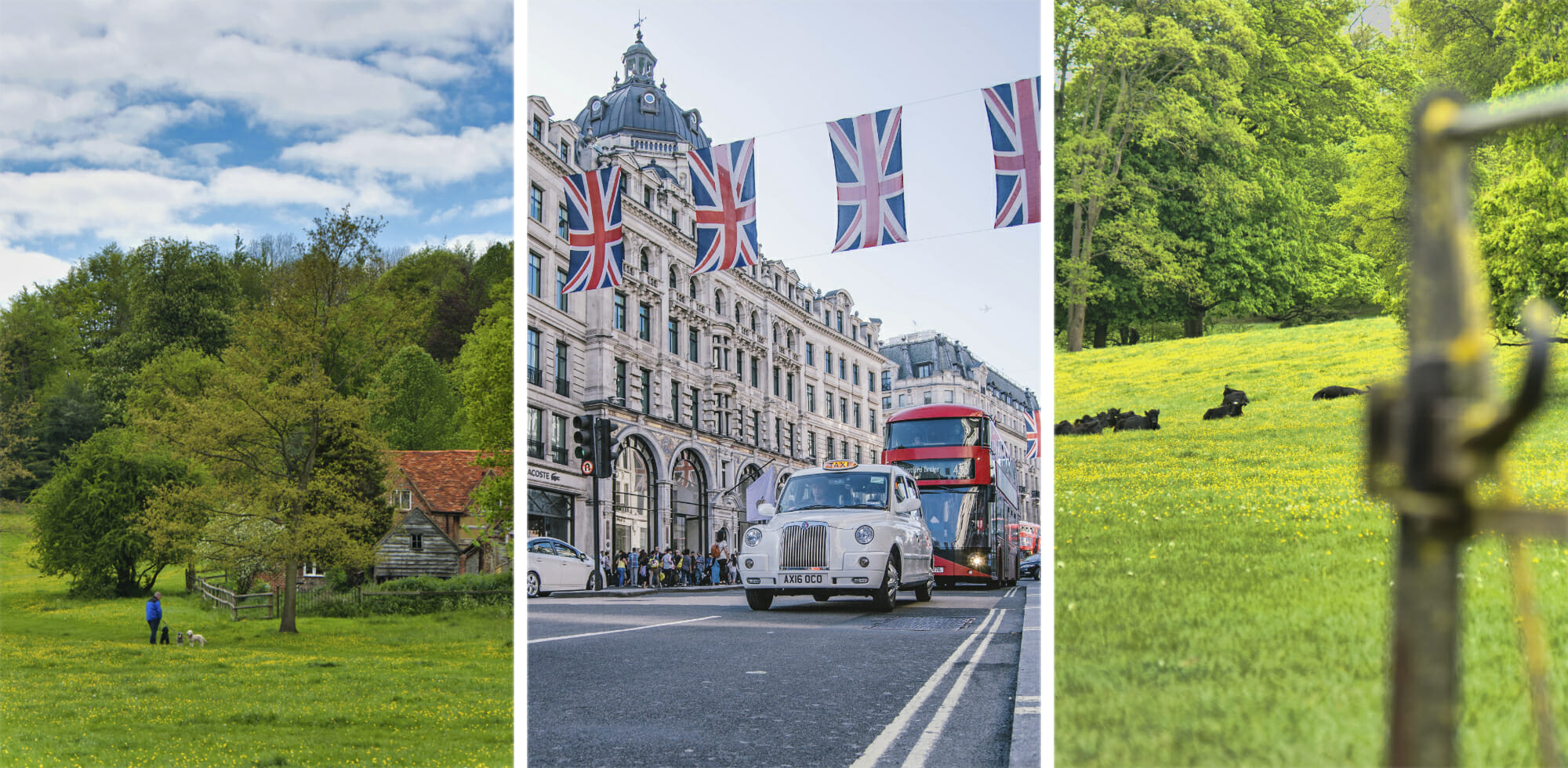 Moving from London to the Countryside 5 Reasons Why You Should Consider It