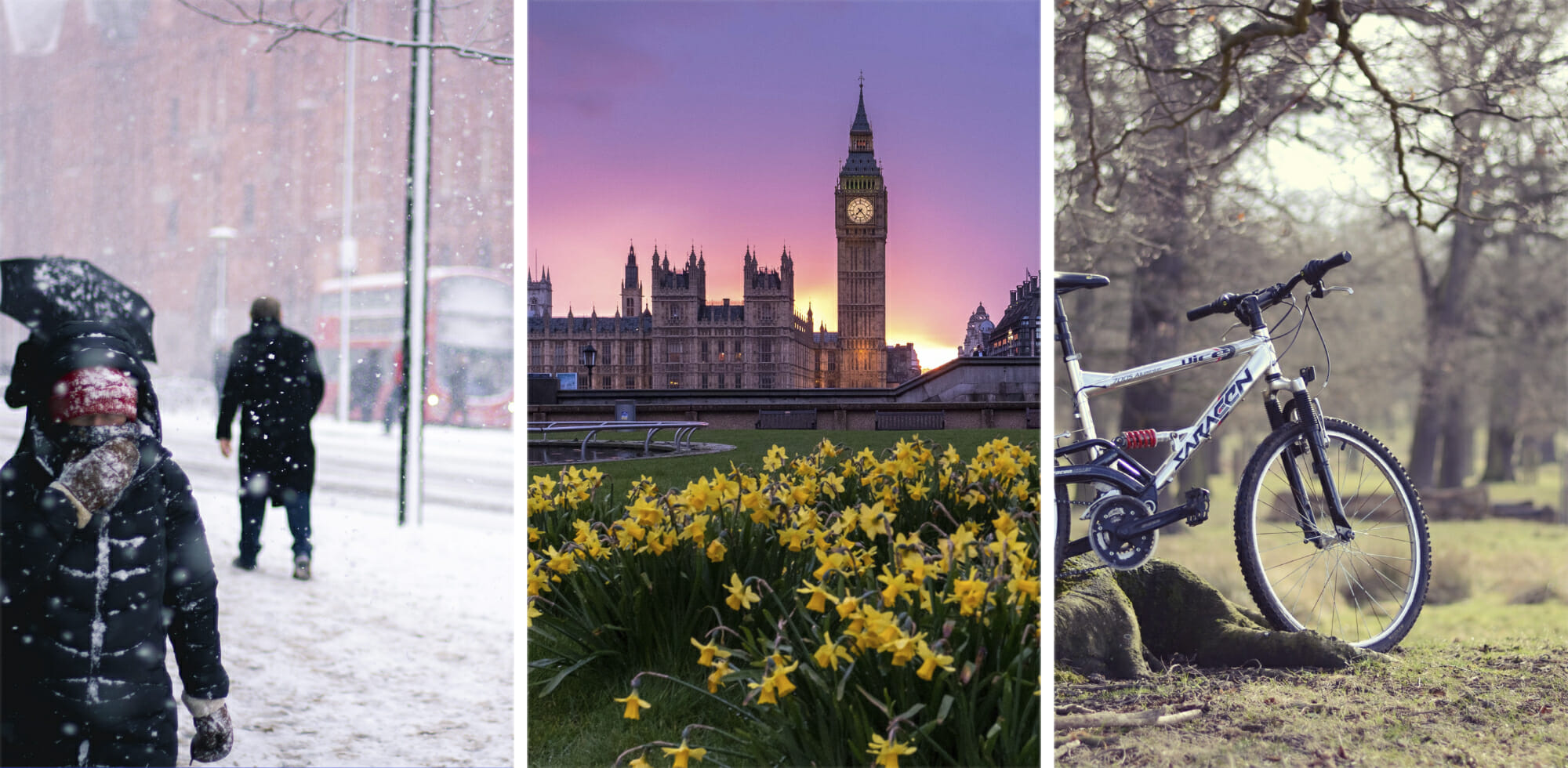 The Best Time to Study Abroad in London