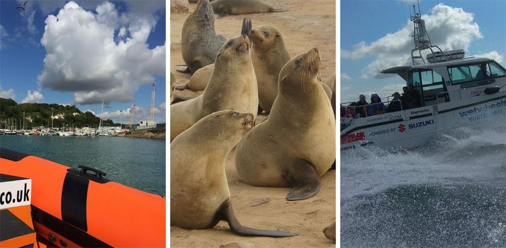 Dover Sea Safari