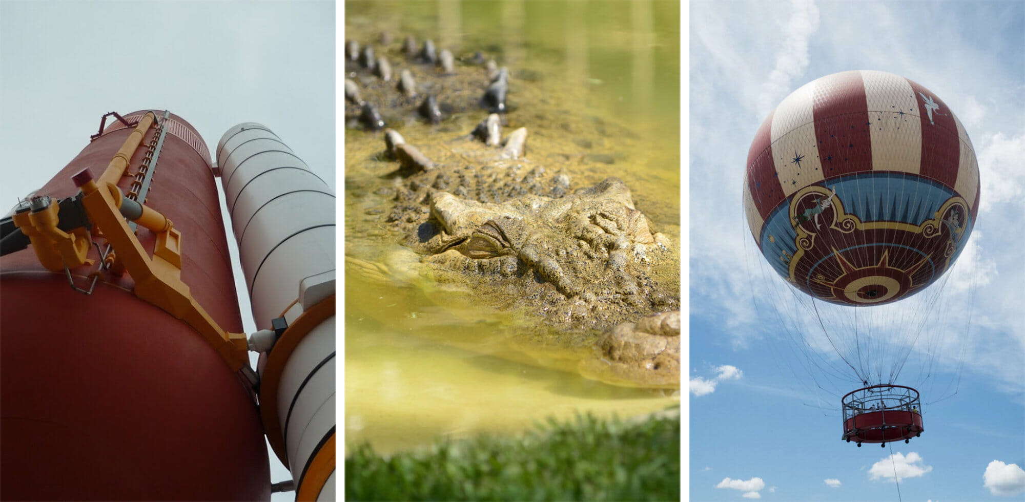33 Best Things to Do in Orlando for Adults