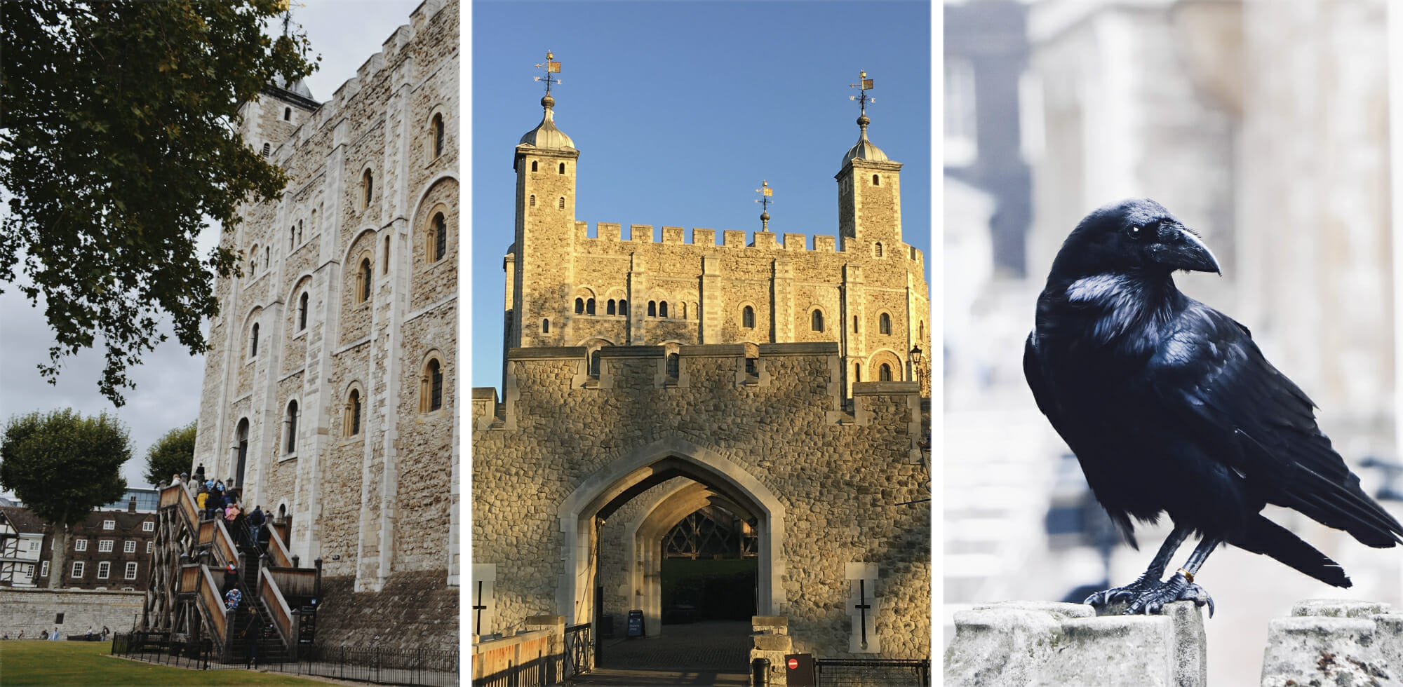 5 Best Tower Of London Tours 2024 Ranked Girl Gone London   Tower Of London Tours 