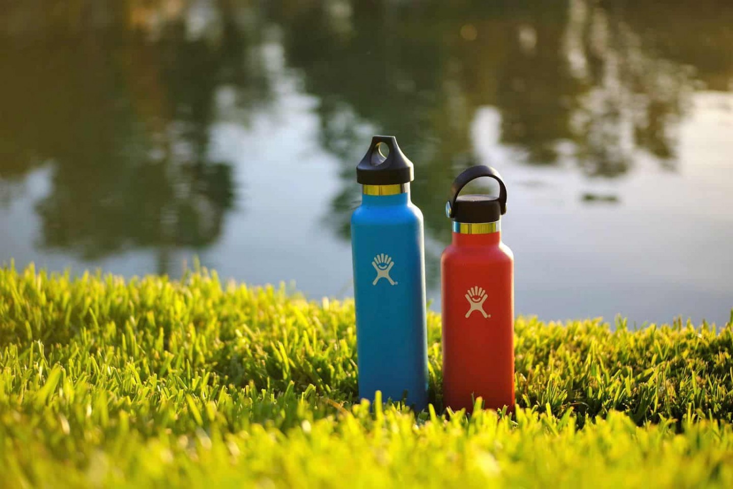 Water Bottles for Disney World