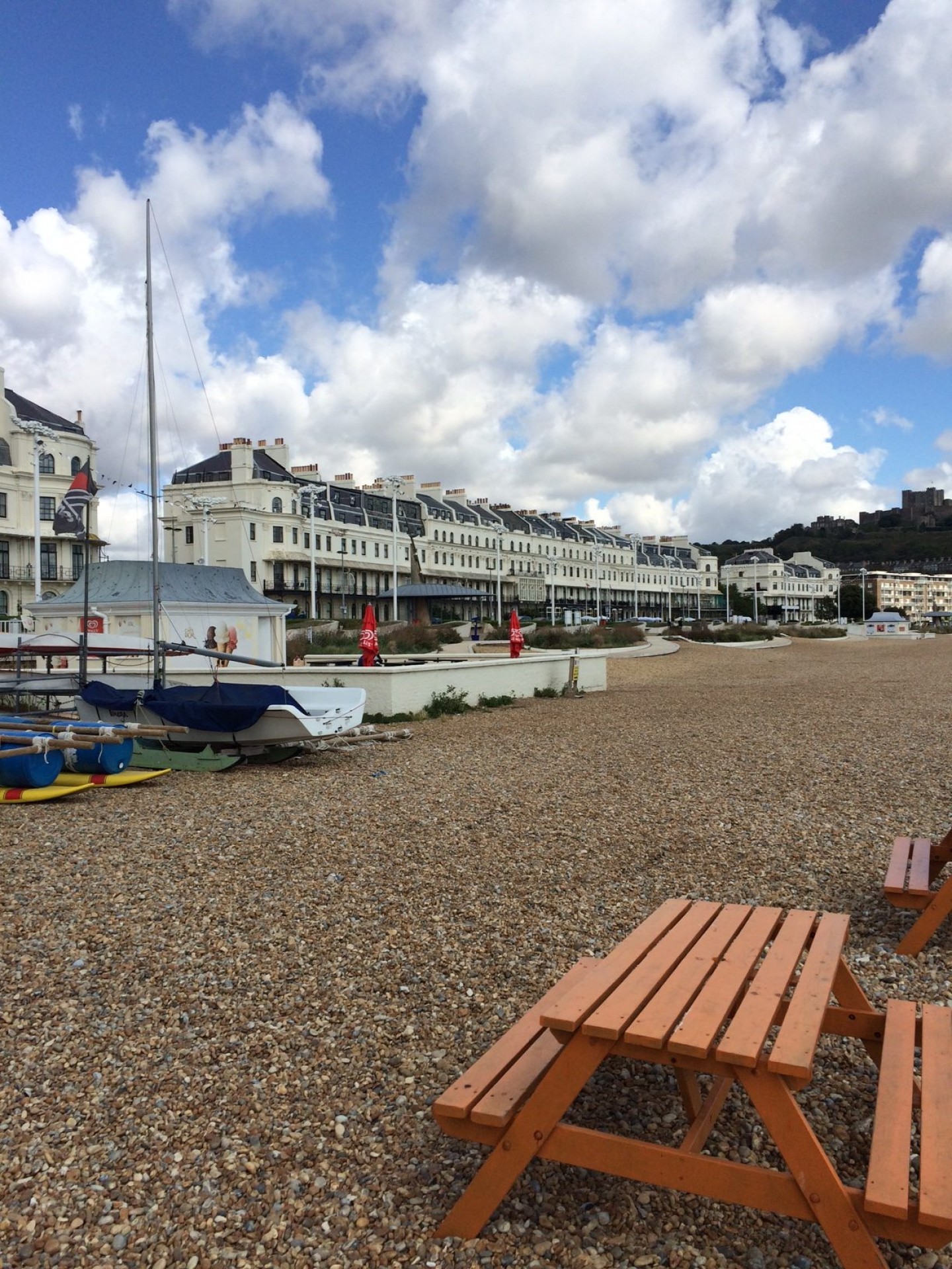 Dover Sea Safari Review 16